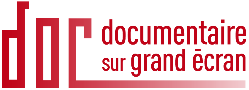 dsge logo red2