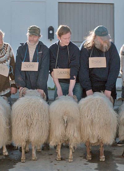 Béliers