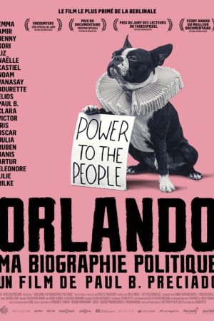 Affiche du film Orlando, ma biographie politique