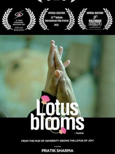 Lotus Bloom
