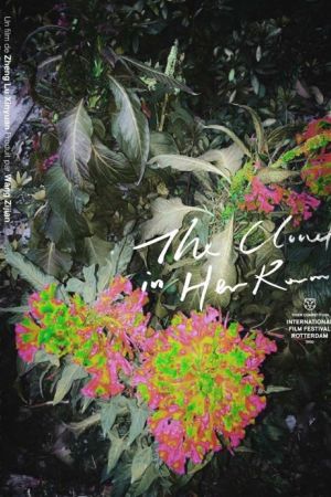 Affiche du film The Cloud in Her Room