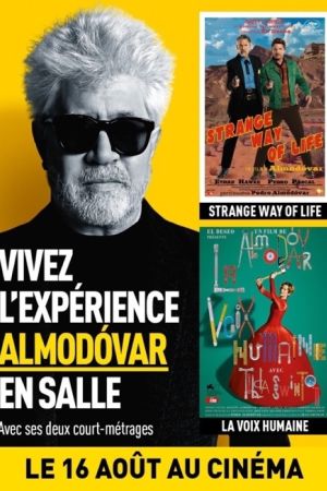 Affiche du film L'Expérience Almodóvar