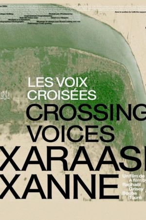 Affiche du film Les Voix croisées