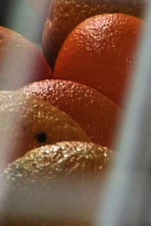 Affiche du film Le journal d'une orange, aller simple