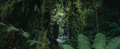 La Miséricorde de la jungle