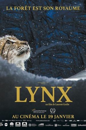 Affiche du film Lynx