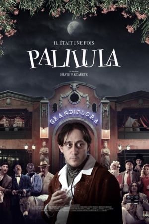 Affiche du film Il était une fois Palilula