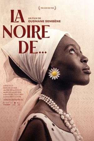 Affiche du film La Noire de...