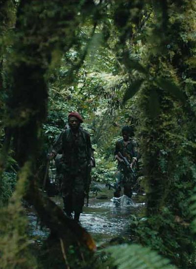 La Miséricorde de la jungle