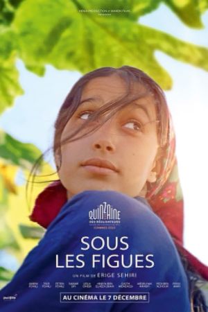 Affiche du film Sous les figues