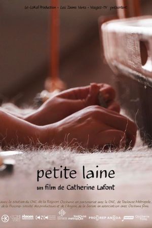 Affiche du film Petite Laine