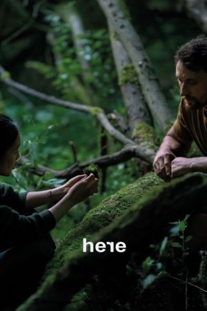 Affiche du film Here