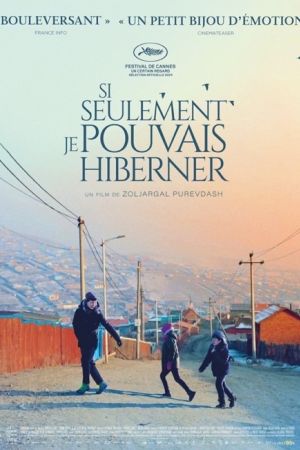 Affiche du film Si seulement je pouvais hiberner