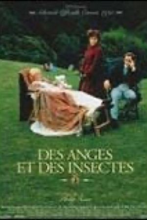 Affiche du film Des anges et des insectes