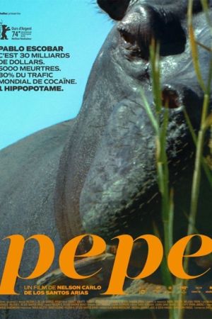 Affiche du film Pepe