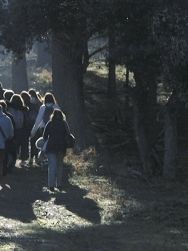 Chemins d’engagement