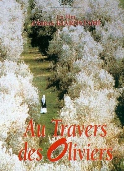 Au travers des oliviers