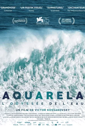 Affiche du film Aquarela - L'Odyssée de l'eau