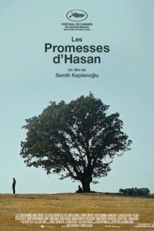 Affiche du film Les Promesses d’Hasan