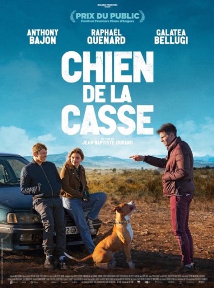 Chien de la casse