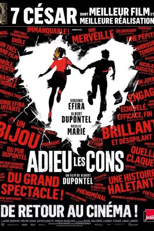 Affiche du film Adieu Les Cons