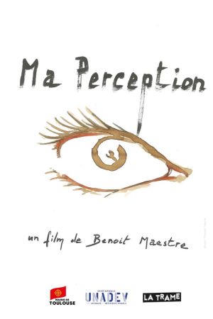 Affiche du film Ma perception