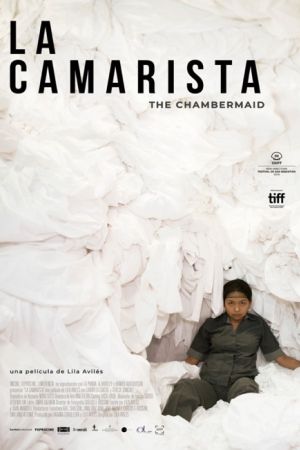 Affiche du film La Camarista