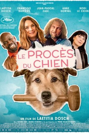 Affiche du film Le procès du chien
