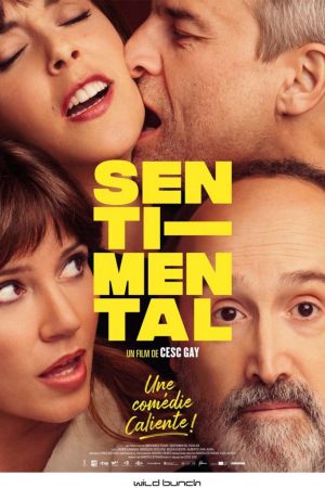 Affiche du film Sentimental