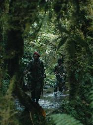 La Miséricorde de la jungle