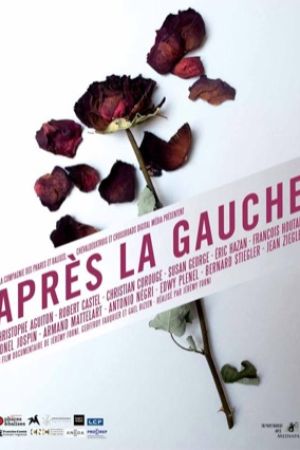 Affiche du film Après la gauche