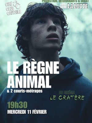 Ciné Club Capitole : Le Règne animal