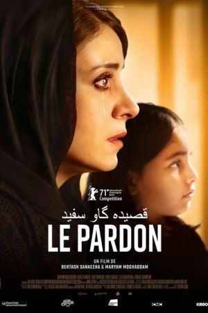 Affiche du film Le Pardon