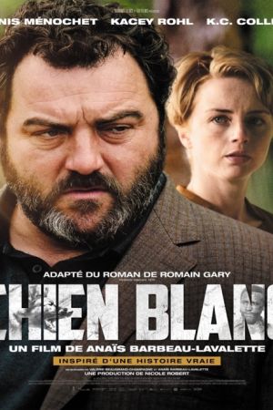 Affiche du film Chien blanc