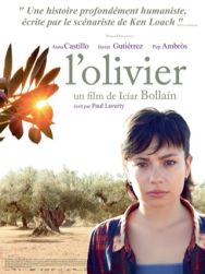 L'olivier