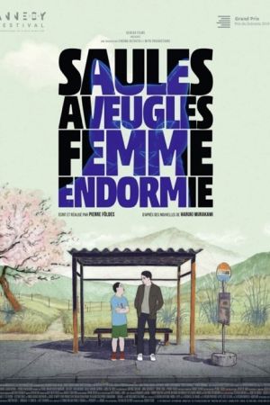 Affiche du film Saules aveugles, femme endormie
