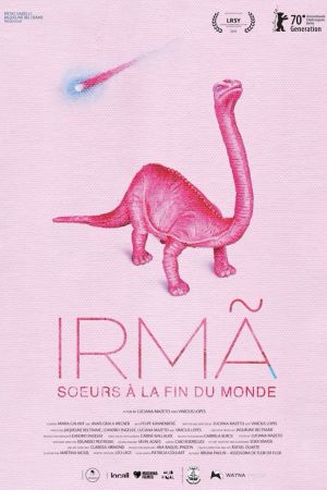 Affiche du film Irmã