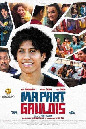 Affiche du film Ma part de Gaulois