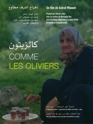 Affiche du film Soirée cinéma Liban