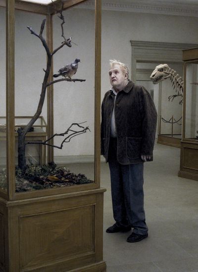 Un pigeon perché sur une branche philosophait sur l’existence