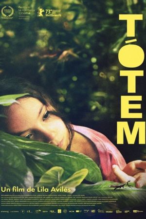 Affiche du film Tótem