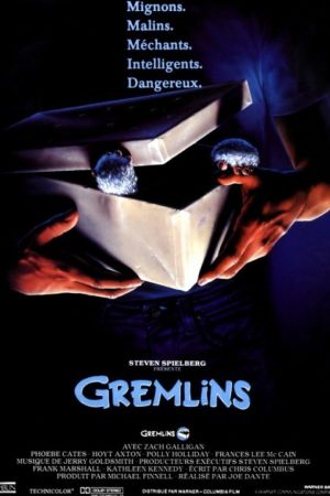 Affiche du film Gremlins