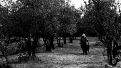 Pierre Rabhi au nom de la terre