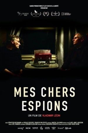 Affiche du film Mes chers espions