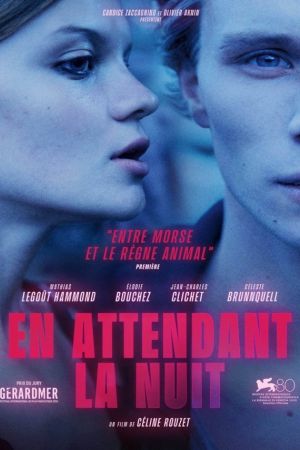 Affiche du film En attendant la nuit