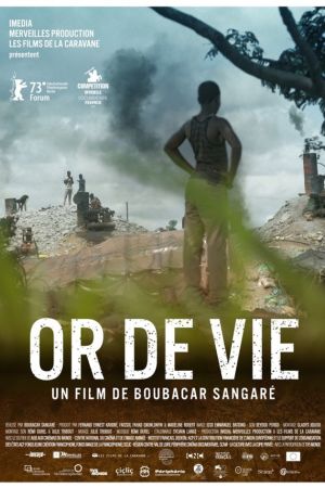 Affiche du film Or de vie