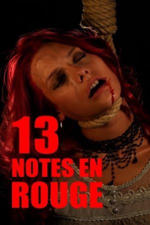 Affiche du film 13 notes en rouge