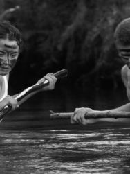 Les Combattants