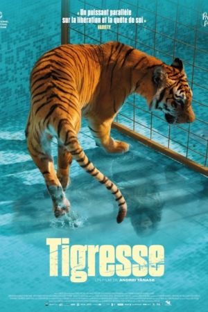 Affiche du film Tigresse