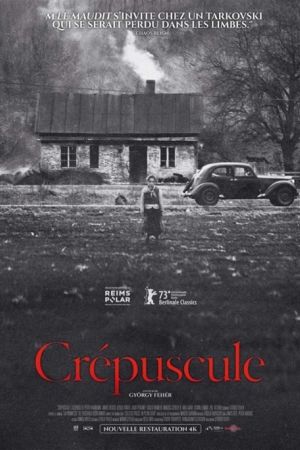 Affiche du film Crépuscule